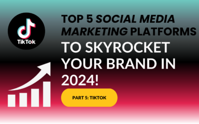 TikTok and TikTok Search Ads: Skyrocket Your Brand in 2024